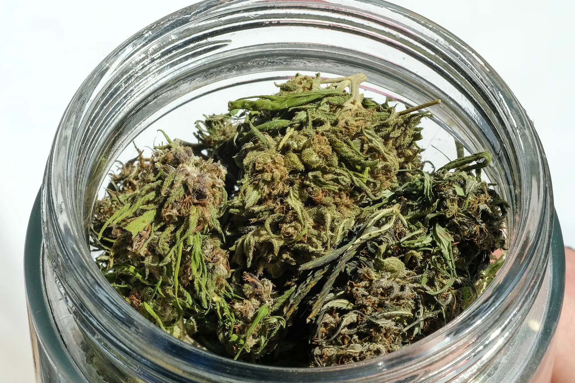 smoke cannabis flowers
