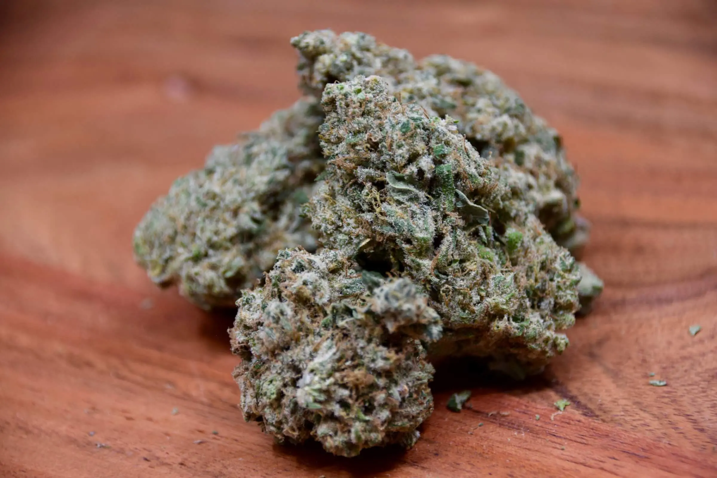 A Deep Dive into the World of Jokers Strain: Unveiling the Magic of Purple Cookies